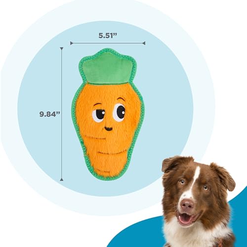 Outward Hound Tough Skinz Durable Chew Plush Squeaky Dog Toy, Carrot, 9.8" - color: Carrot, size: Medium