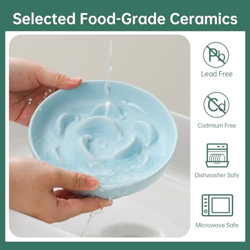 2 Pack Ceramic Cat Slow Feeder Bowl Set, 6.3" Wide, Slow Eating 5X - color: Blue and Green