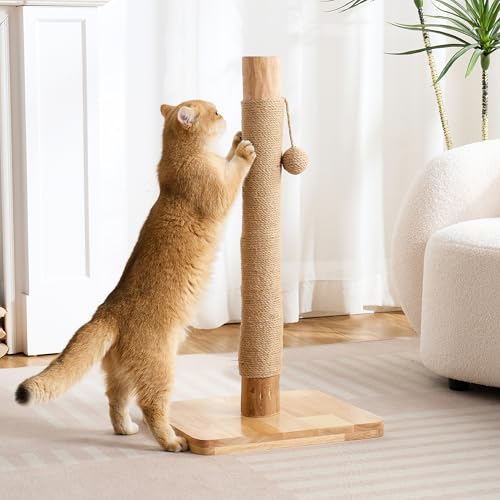 29" Tall Solid Wood Cat Scratching Post for Indoor Cats, Extra Stable Heavy Base, Natural Sisal Scratcher with Hanging Ball, Furniture Protector for Kittens & Adult Cats, Beige - color: Natural