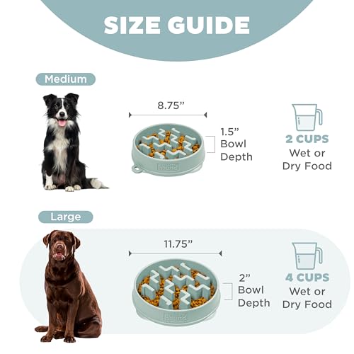 Outward Hound Fun Feeder Slo Bowl Dog Slow Feeder, Notch, Sage, 11.8" - color: Sage, size: Large