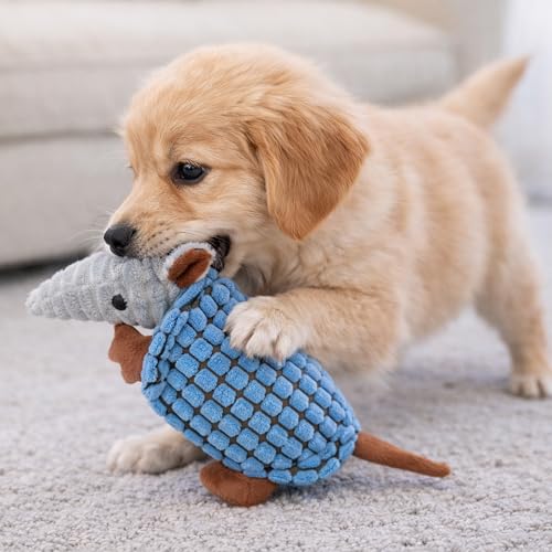 Hollypet Armadillo Squeaky Puppy Dog Toys for Small Medium Dogs, 8" - color: Sea Foam, size: 8 IN