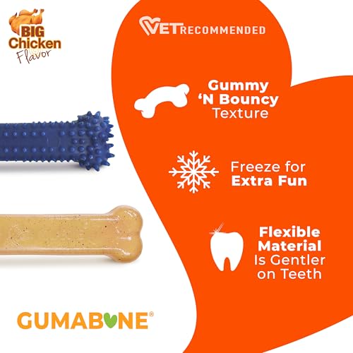 Nylabone Flexi Chew Original Bone & Textured Bone Dog Chew Toys, 2 Count - size: Medium