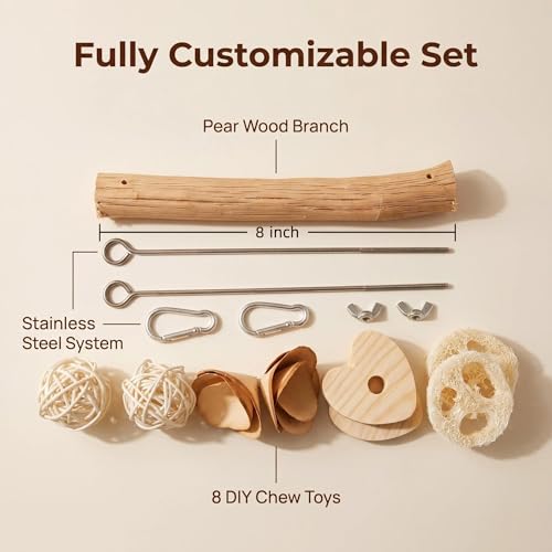 Bird Swing Perch with Chew Toys for Small Parrots, Cage Accessory