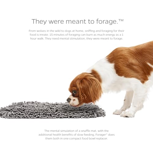 Pet Parents Forager Slow Feeder Dog Bowl & Snuffle Mat - SoftSnout, Non-Slip Backing (Forest 12")