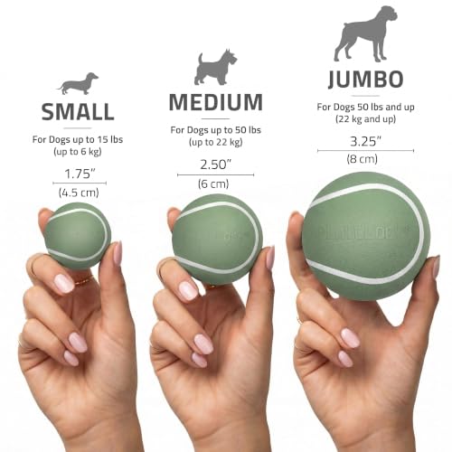 Playology Squeaky Chew Ball Dog Toy - Small, Squash Scent, 3-Pack - size: Small (VALUE 3-Pack), style: Butternut Squash & Sage