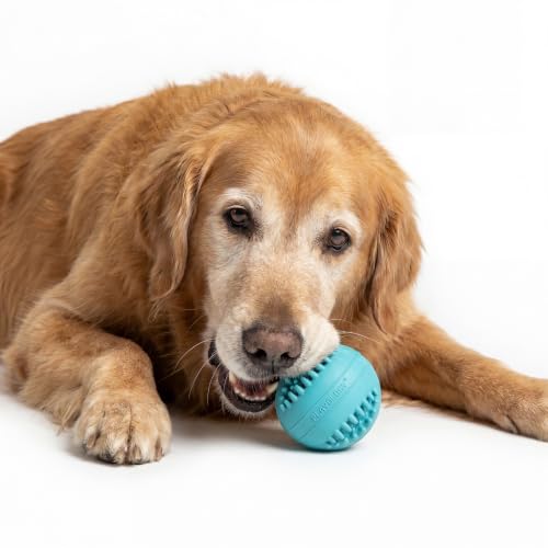 Playology Dental Chew Ball Toy for Senior Dogs - Jumbo, Peanut Butter Scent - size: Jumbo Chew Ball, style: Peanut Butter