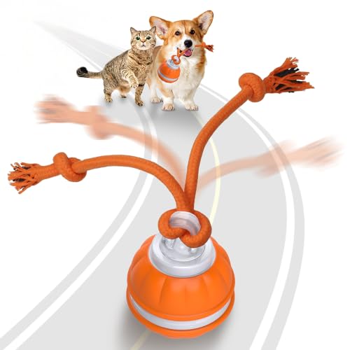 PAWSPIK Rope Runner Interactive Rechargeable Dog Ball Toy, Small