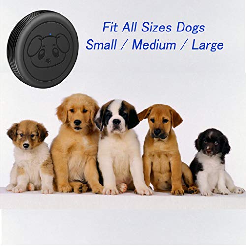 Dog Door Bell, Wireless Doggie Doorbells for Potty Training, Door Bell for Dogs to Go Outside, Dog Bells with 1 Receiver and 2 Waterproof Transmitters - color: Black, size: 1 Receiver + 2 Transmitters