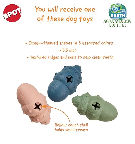 SPOT Ethical Products Love The Conch Shell 5.5" Assorted