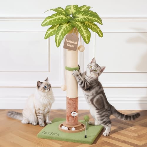 Cat Scratching Post for Indoor Large Kitten Scratch, 35" Tall
