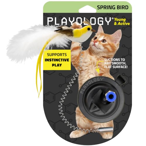Playology Cat Toys - Suction Cup Bird - Interactive Cat Toy for Indoor Cats