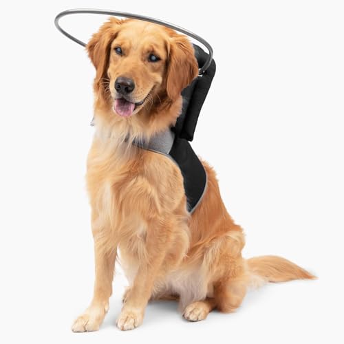 Muffin’s Halo® Original Blind Dog Halo, Harness Bumper Collar, Black Size 6 - color: Black, size: 6