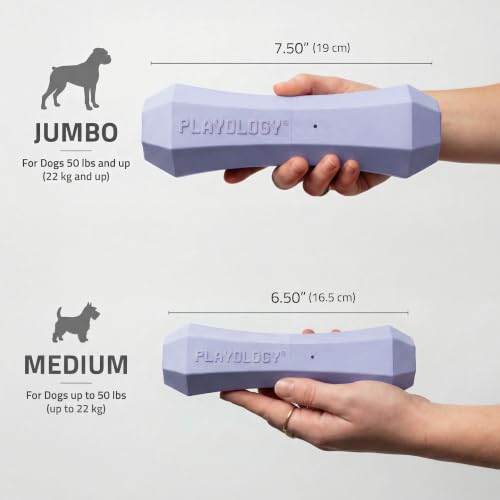 Playology Squeaky Chew Stick - Scented Dog Toy - Medium, Lamb Scent - size: Medium, style: Lamb