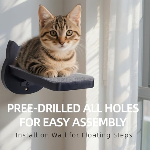 ESPETS Black Painted Solid Wood Cat Wall Climbing Steps, Set of 3 - color: Black
