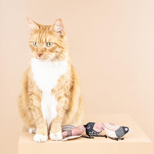 Fringe Studio, Under My Wings, Durable Cotton Canvas Cat Toy, 3PCS Set, PetShop Collection (904029) - color: Under My Wings