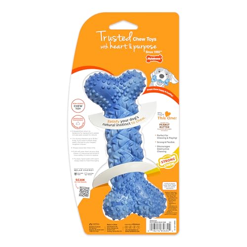 Nylabone Strong Chew Braid Bone Dog Chew Toy, Medium - size: Medium