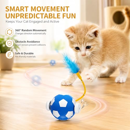 Cat Enrichment Toy, Chase Toy for Bored Indoor Adult Cats - color: C -Blue