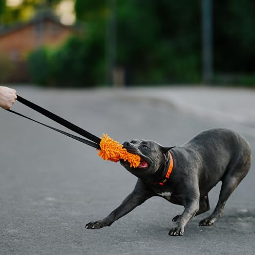 Dingo Dog tug Toy with Bungee Handle, Microfiber, Orange 17in - color: Orange