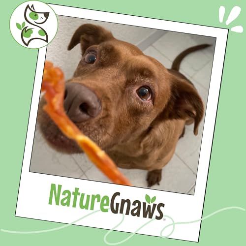 Nature Gnaws USA Turkey Tendons Dog Treats, 4 oz - size: 4 Ounce (Pack of 1), style: Tendons