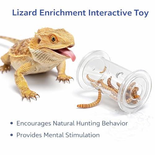 Bearded Dragon Toy - Reptile Enrichment Interactive Feeder Toy
