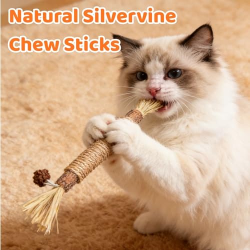 6 Pack Catnip Toys for Indoor Cats, Interactive Cat Toys with Catnip, Chew Kicker, Cat Chew Toy for Adult Cats & Kitten - color: 6 Pack