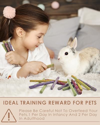 Bissap 22PCS Rabbit Chew Sticks, Natural Molar Treats for Small Pets - size: 22 pieces