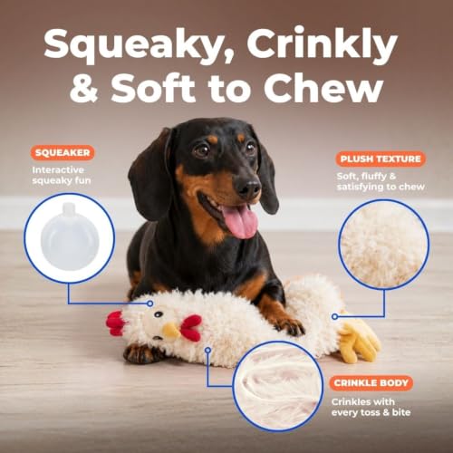 Best Pet Supplies Interactive Squeaky Dog Toy - Crinkle Chicken, Beige - color: Crinkle Chicken (Beige), size: Large