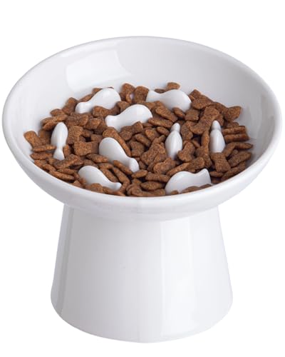 Ceramic Elevated Slow Feeder Cat Bowl - 6" Raised Cat Food Bowl for Bloat Relief & Anti-Vomiting, Whisker Friendly Ceramic Cat Slow Feeder for Indoor Cats, Kittens, Puppies - White(1pc) - color: White