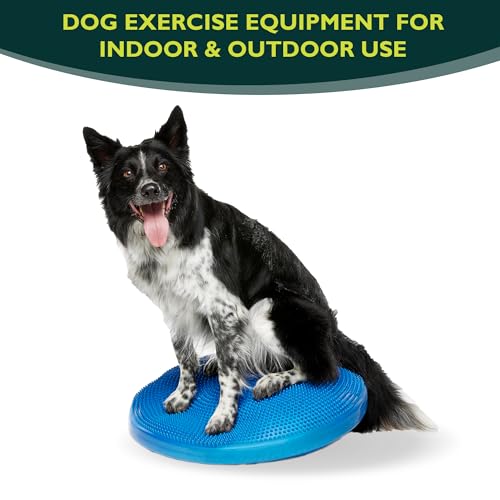 FitPaws® Dog Balance Disc, Exercise Equipment, Rehabilitation + Training, - color: Blue, size: 22"