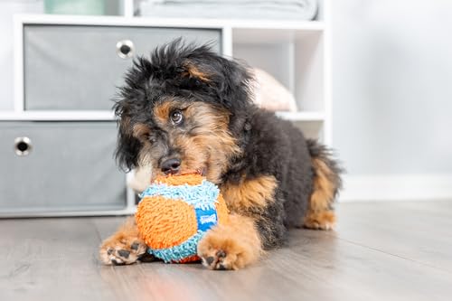 Chuckit! Indoor Fetch Ball and Air Fetch Football Dog Toy Bundle