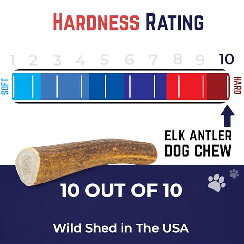 Devil Dog Pet Co Whole Elk Antlers for Dogs, Small 2 Pack, Long Lasting - style: WHOLE - Small - 2 Pack