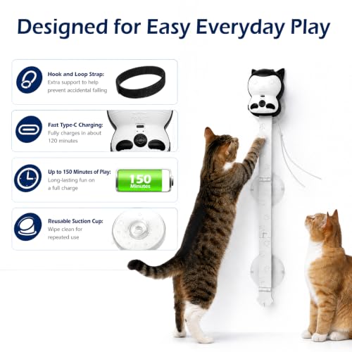 2-in-1 Electric Cat Toy, Automatic Interactive Cat Wand with 2 Play Modes (Track Chase & Bounce), Indoor Exercise Toy for Kittens & Adult Cats