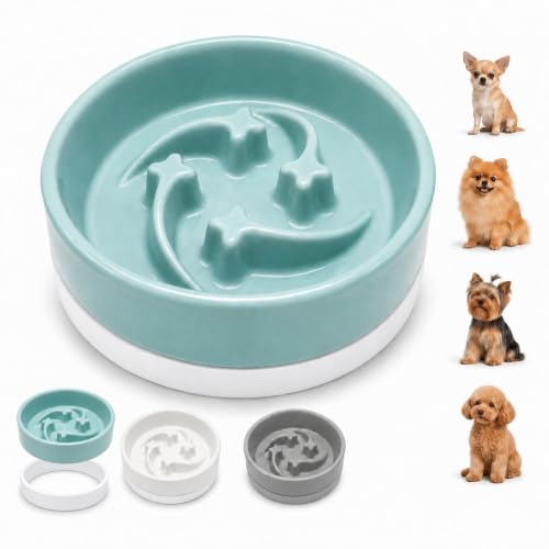 Ceramic Slow Feeder Dog Bowl, 0.6 Cup, Light Green Bowl&White Base - color: Light Green with White Silicone Base