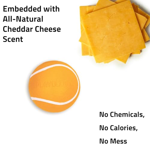 Playology Squeaky Chew Ball Dog Toy - Medium, Cheddar Cheese Scent - size: Medium, style: Cheddar Cheese