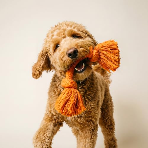 Playology Tug Rope Dog Toys for Medium Dogs - Medium, Cheddar Cheese Scent - size: Medium, style: Cheddar Cheese