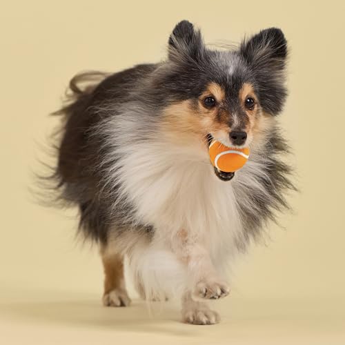 Playology Squeaky Chew Ball Dog Toy - Small, Cheddar Cheese Scent, 3-Pack - size: Small (VALUE 3-Pack), style: Cheddar Cheese
