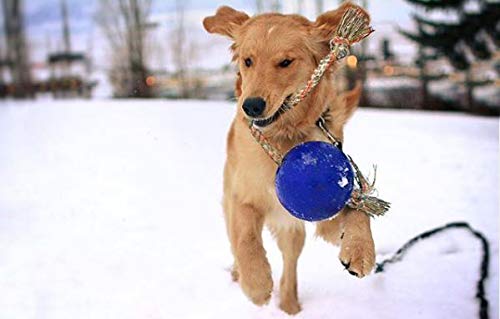 Jolly Pets Romp-N-Roll Rope & Ball Dog Toy, 6 in Medium, Blue - color: Blue, size: Medium (6 in)