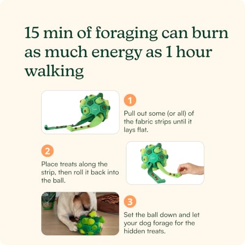 Reggie Dog Training Treats with Enrichment Toy | Turkey & Pumpkin Dog Treats + Forager Ball | Low-Calorie High-Protein Rewards | Mental Stimulation for Dogs | 340 Treats - size: Forager Ball - Turkey & Pumpkin