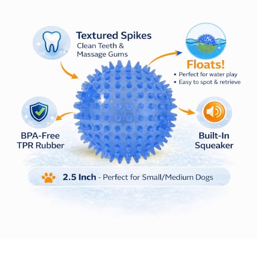 Squeaky Spiky Dog Ball for Teeth Cleaning & Gum Massage 2.5 Inch Small Medium Dogs Blue | Spiny TPR Rubber Chew Toy for Fetch Play Interactive Bouncy Dental Ball Durable BPA Free Nontoxic Floats - size: Blue Ball 1-Pack