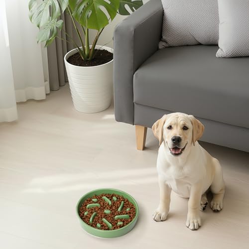 Ceramic Slow Feeder Dog Bowl, 2 Cups Maze Puzzle Dish to Slow Down Eating - color: Maze - Green