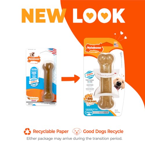Nylabone Puppy Chew Teething Bone Dog Chew Toy, Chicken Flavor, Small - color: Teething Bone, size: Small