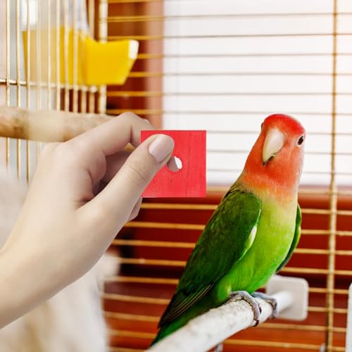 Parrot Wood Chip Toy 100 Pcs DIY Bird Toys Supplies Chew Blocks with Hole Mixed Color Bite Toy Pieces for Parrots Cockatiels Parakeets Small Birds Cage Activity