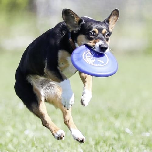 Hyperflite Pup Jawz Puncture Resistant Dog Flying Disc, Small Dogs - color: blue