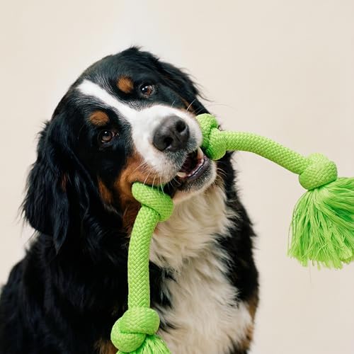 Playology Tug Rope Dog Toys for Large Breeds - Mega, Sweet Potato Scent - size: Mega, style: Sweet Potato