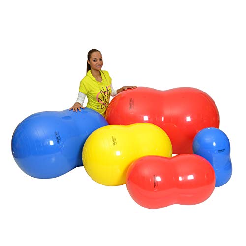 GYMNIC Physio Roll 55