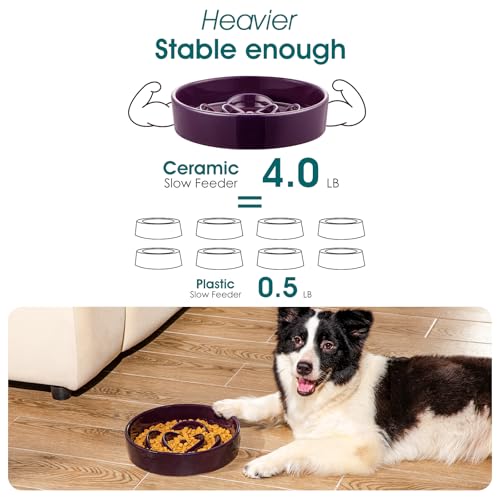 vancasso Slow Feeder Dog Bowl, 3 Cups Ceramic Puzzle Dish for Large Breed - color: Dark Purple, size: L - 3 Cups