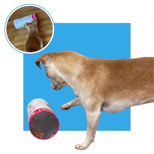 3-in-1 Enrichment Set, Tug, Sniff & Treat Dispense (Blue) - color: Blue