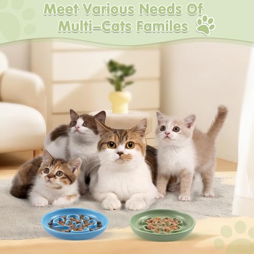 Cat Slow Feeder Bowl Set,2 Pcs Pastel Series Cat Plate for Dry and Wet Food - color: Blue and Green-A