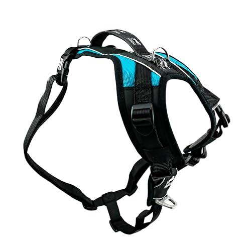 FitPaws® Made to Move® No-Pull Dog Harness, Neck Buckle, Teal, XL - color: Teal, size: XL
