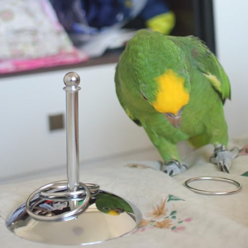 Fosrion Stainless Steel Parrot Ring Toss Toy, Interactive Training & Enrichment Toy for Parrots – Bite-Proof, Anxiety Relief, Exercise Fun for All Kinds of Parrot (Medium) - size: Medium